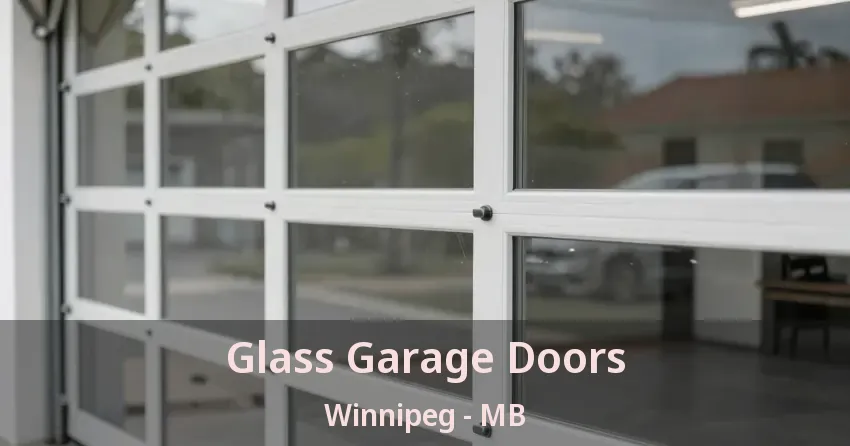 Glass Garage Doors Winnipeg - MB Glass Garage Doors Winnipeg - MB