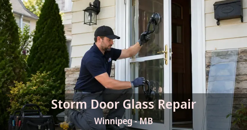 Storm Door Glass Repair Winnipeg - MB Storm Door Glass Repair Winnipeg - MB